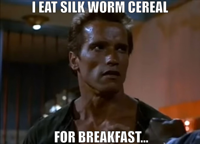 ILL BE BACK BETTER THAN EVER | I EAT SILK WORM CEREAL; FOR BREAKFAST... | image tagged in i eat ______ for breakfast,meme,arnold schwarzenegger | made w/ Imgflip meme maker