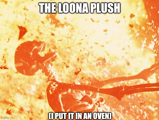 Fire skeleton | THE LOONA PLUSH (I PUT IT IN AN OVEN) | image tagged in fire skeleton | made w/ Imgflip meme maker