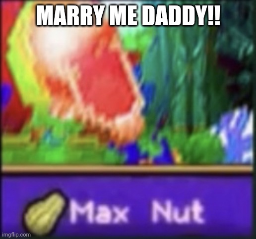 Max nut | MARRY ME DADDY!! | image tagged in max nut | made w/ Imgflip meme maker