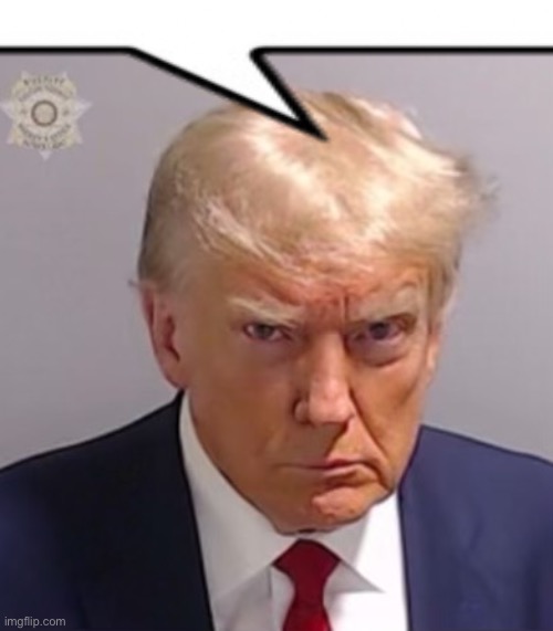 Donald Trump Mugshot | image tagged in donald trump mugshot | made w/ Imgflip meme maker