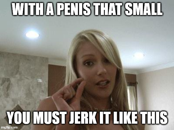 Sexy Small Gap | WITH A PENIS THAT SMALL; YOU MUST JERK IT LIKE THIS | image tagged in sexy small gap | made w/ Imgflip meme maker