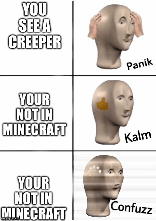 Panik Kalm Confuzz | YOU SEE A CREEPER; YOUR NOT IN MINECRAFT; YOUR NOT IN MINECRAFT | image tagged in panik kalm confuzz | made w/ Imgflip meme maker