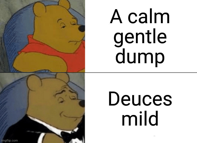 5th in a series | A calm
gentle
dump; Deuces mild | image tagged in memes,tuxedo winnie the pooh | made w/ Imgflip meme maker