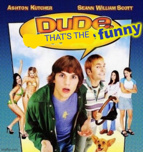 dude where's the funny | THAT'S THE | image tagged in dude where's the funny | made w/ Imgflip meme maker