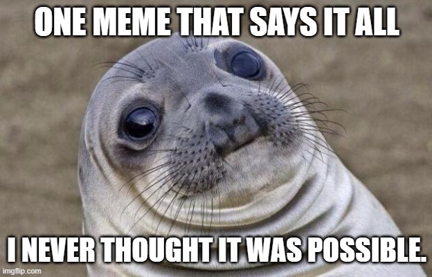 Awkward Moment Sealion Meme | ONE MEME THAT SAYS IT ALL I NEVER THOUGHT IT WAS POSSIBLE. | image tagged in memes,awkward moment sealion | made w/ Imgflip meme maker