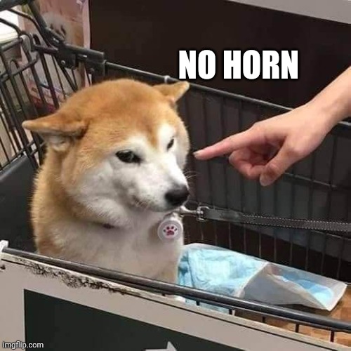 No horny | NO HORN | image tagged in no horny | made w/ Imgflip meme maker