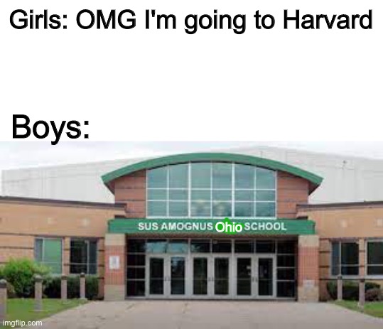 Sus among us Ohio school | Girls: OMG I'm going to Harvard; Boys:; Ohio | image tagged in boys vs girls,memes,funny,among us,ohio,school | made w/ Imgflip meme maker