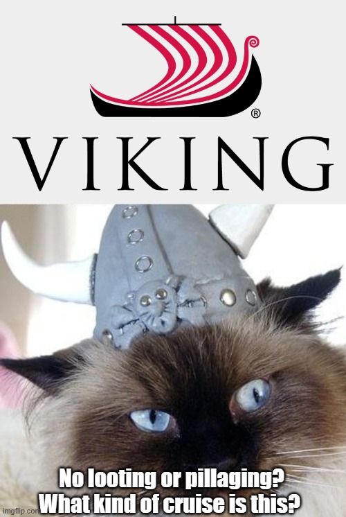 Viking cat | No looting or pillaging? What kind of cruise is this? | image tagged in cats,vikings | made w/ Imgflip meme maker