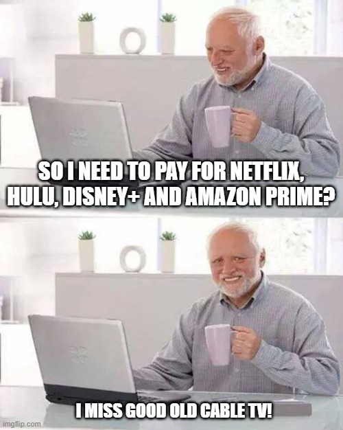 Hide the Pain Harold Meme | SO I NEED TO PAY FOR NETFLIX, HULU, DISNEY+ AND AMAZON PRIME? I MISS GOOD OLD CABLE TV! | image tagged in memes,hide the pain harold | made w/ Imgflip meme maker