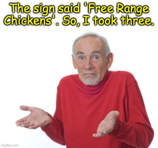 Free | The sign said 'Free Range Chickens'. So, I took three. | image tagged in guess i'll die | made w/ Imgflip meme maker