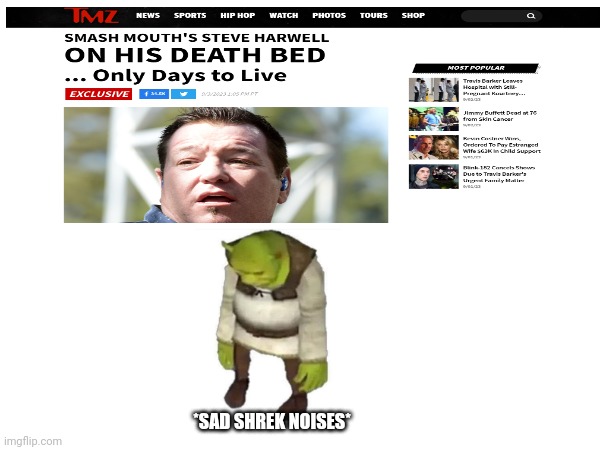 Depressed Shrek Meme Generator - Imgflip