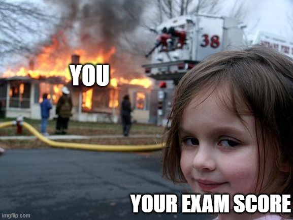 exam is fire | YOU; YOUR EXAM SCORE | image tagged in memes,disaster girl | made w/ Imgflip meme maker