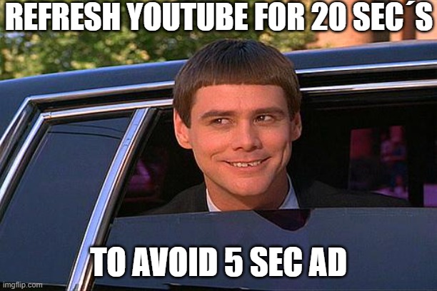 cool and stupid | REFRESH YOUTUBE FOR 20 SEC´S; TO AVOID 5 SEC AD | image tagged in cool and stupid | made w/ Imgflip meme maker