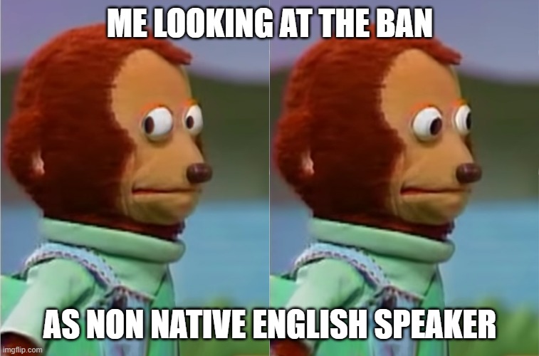 puppet Monkey looking away | ME LOOKING AT THE BAN; AS NON NATIVE ENGLISH SPEAKER | image tagged in puppet monkey looking away | made w/ Imgflip meme maker