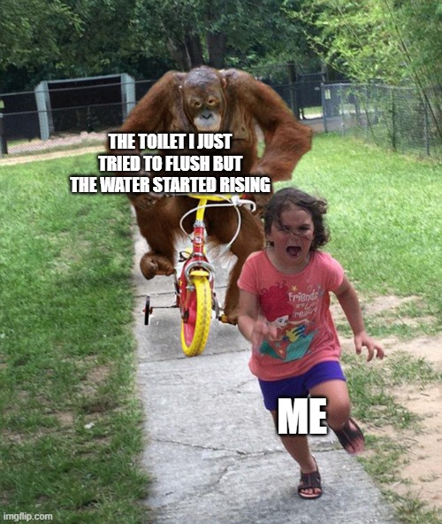 Orangutan chasing girl on a tricycle | THE TOILET I JUST TRIED TO FLUSH BUT THE WATER STARTED RISING; ME | image tagged in orangutan chasing girl on a tricycle | made w/ Imgflip meme maker
