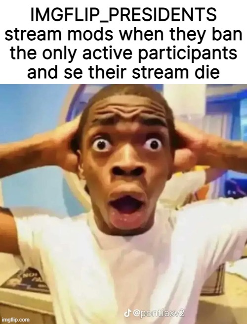 Shocked black guy | IMGFLIP_PRESIDENTS stream mods when they ban the only active participants and se their stream die | image tagged in shocked black guy | made w/ Imgflip meme maker