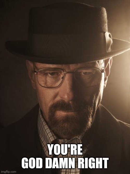 Walter White | YOU'RE GOD DAMN RIGHT | image tagged in walter white | made w/ Imgflip meme maker