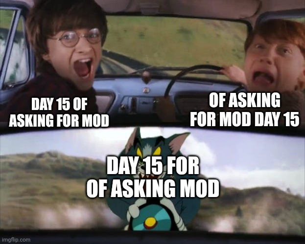 Tom chasing Harry and Ron Weasly | DAY 15 OF ASKING FOR MOD OF ASKING FOR MOD DAY 15 DAY 15 FOR OF ASKING MOD | image tagged in tom chasing harry and ron weasly | made w/ Imgflip meme maker