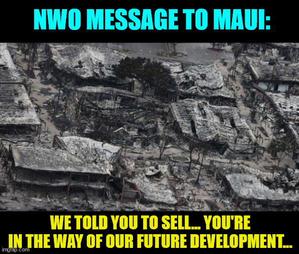 NWO MESSAGE TO MAUI: WE TOLD YOU TO SELL... YOU'RE IN THE WAY OF OUR FUTURE DEVELOPMENT... | made w/ Imgflip meme maker