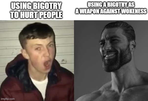 Water is simply much better weapon against fire rather than fire itself | USING BIGOTRY TO HURT PEOPLE; USING A BIGOTRY AS A WEAPON AGAINST WOKENESS | image tagged in average enjoyer meme,memes,gigachad,woke | made w/ Imgflip meme maker