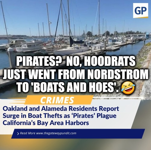 PIRATES?  NO, HOODRATS JUST WENT FROM NORDSTROM TO 'BOATS AND HOES'. 🤣 | image tagged in memes,politics,crime,funny,trending now,california | made w/ Imgflip meme maker