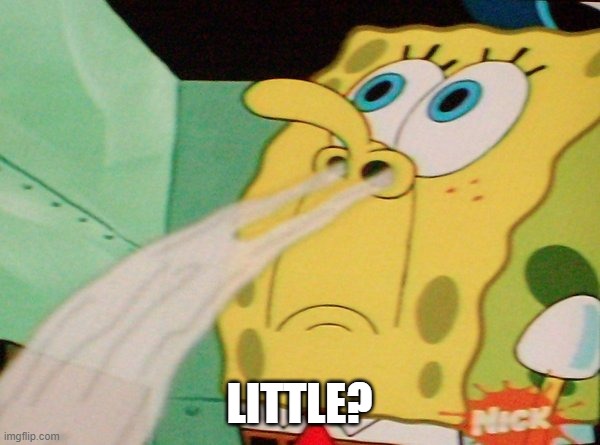 Spongebob Sniff | LITTLE? | image tagged in spongebob sniff | made w/ Imgflip meme maker
