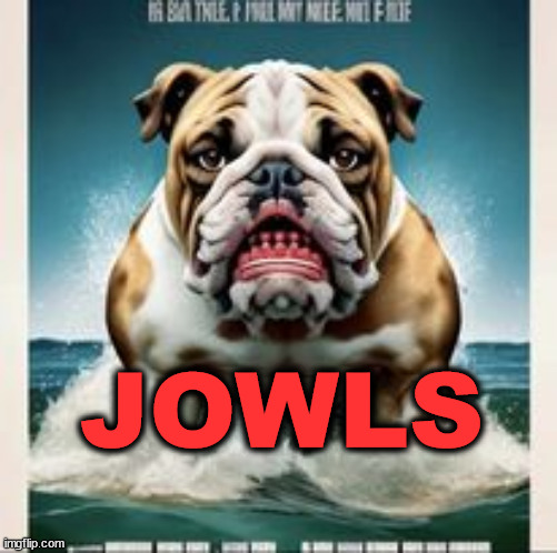 You're Gonna Need A Bigger Bone | JOWLS | image tagged in jaws,dog,doggo,movie,horror movie | made w/ Imgflip meme maker