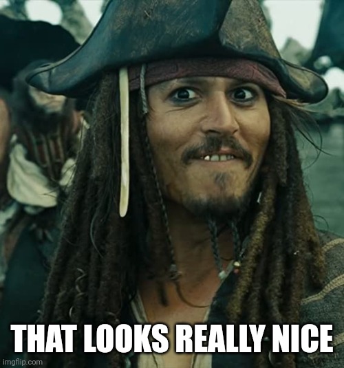JACK SPARROW OH THAT'S NICE | THAT LOOKS REALLY NICE | image tagged in jack sparrow oh that's nice | made w/ Imgflip meme maker