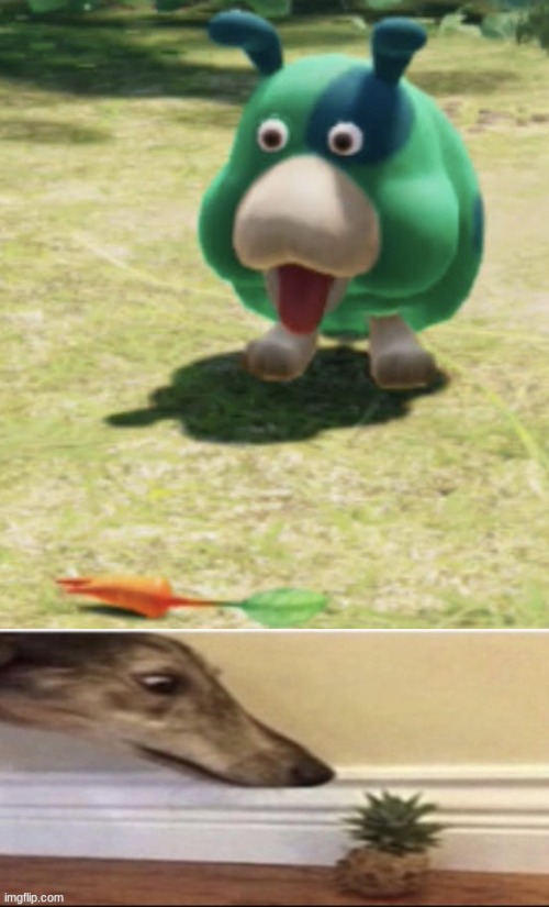 same energy | image tagged in moss shocked at carrot,me returning to to see that it has now been reduced to | made w/ Imgflip meme maker