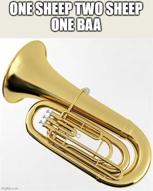 Got Tuba? | ONE SHEEP TWO SHEEP
ONE BAA | image tagged in got tuba | made w/ Imgflip meme maker