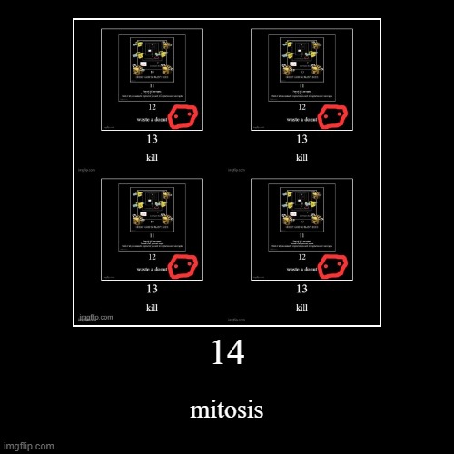 mitosis | 14 | mitosis | image tagged in funny,demotivationals | made w/ Imgflip demotivational maker