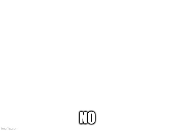NO | made w/ Imgflip meme maker