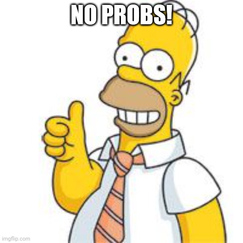 homer no problemo | NO PROBS! | image tagged in homer no problemo | made w/ Imgflip meme maker