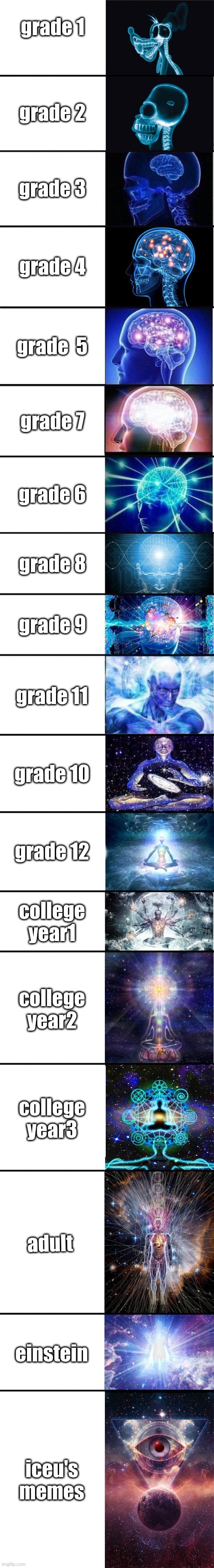 brain | grade 1; grade 2; grade 3; grade 4; grade  5; grade 7; grade 6; grade 8; grade 9; grade 11; grade 10; grade 12; college year1; college year2; college year3; adult; einstein; iceu's memes | image tagged in expanding brain 9001 | made w/ Imgflip meme maker