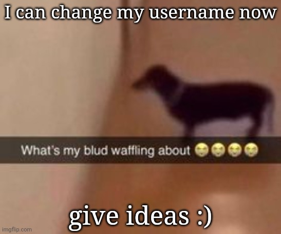 What's my blud waffling about | I can change my username now; give ideas :) | image tagged in what's my blud waffling about | made w/ Imgflip meme maker