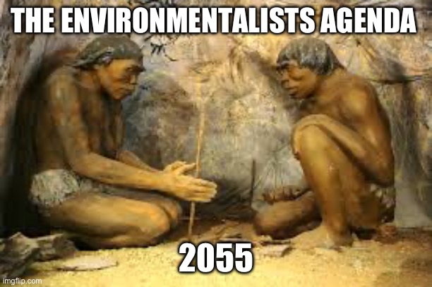 caveman fire | THE ENVIRONMENTALISTS AGENDA 2055 | image tagged in caveman fire | made w/ Imgflip meme maker