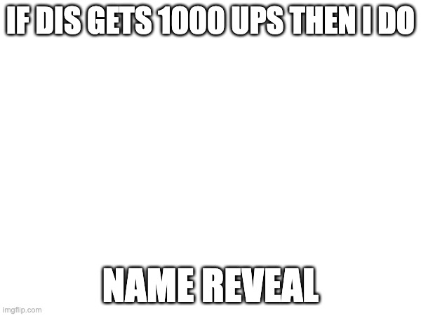 i will | IF DIS GETS 1000 UPS THEN I DO; NAME REVEAL | image tagged in namereveal | made w/ Imgflip meme maker