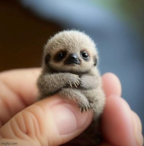 If you're going through something, here's a little guy to cheer you up :) | image tagged in aww | made w/ Imgflip meme maker