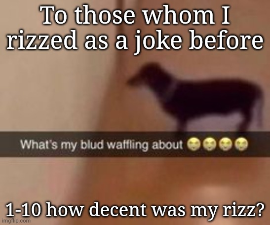 For research purposes | To those whom I rizzed as a joke before; 1-10 how decent was my rizz? | image tagged in what's my blud waffling about | made w/ Imgflip meme maker