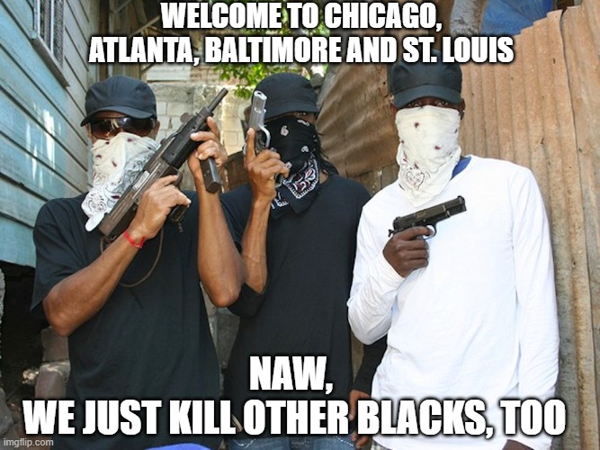 WELCOME TO CHICAGO, ATLANTA, BALTIMORE AND ST. LOUIS NAW, 
WE JUST KILL OTHER BLACKS, TOO | made w/ Imgflip meme maker