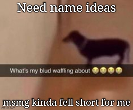 What's my blud waffling about | Need name ideas; msmg kinda fell short for me | image tagged in what's my blud waffling about | made w/ Imgflip meme maker