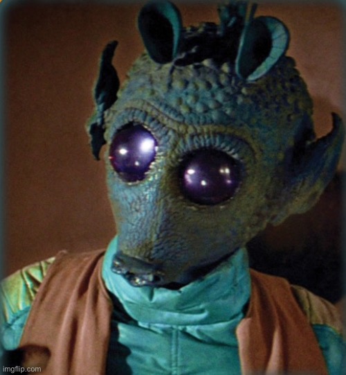 Greedo say what | image tagged in greedo say what | made w/ Imgflip meme maker