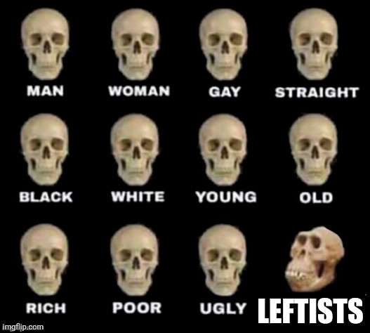 idiot skull | LEFTISTS | image tagged in idiot skull | made w/ Imgflip meme maker