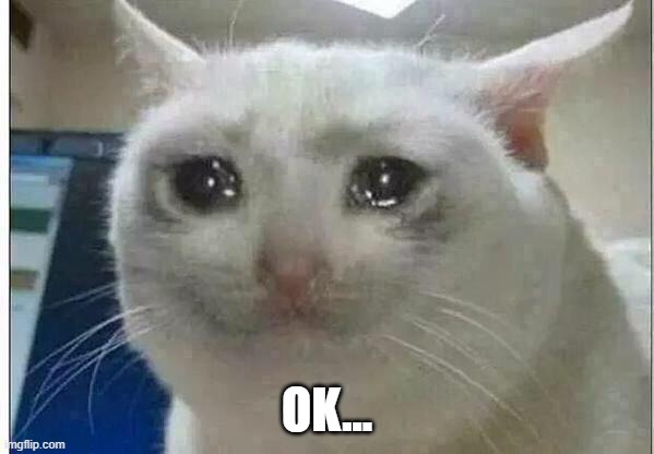 crying cat | OK... | image tagged in crying cat | made w/ Imgflip meme maker