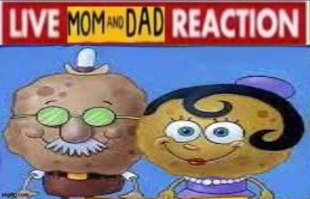 Good mom and dad | image tagged in good mom and dad | made w/ Imgflip meme maker