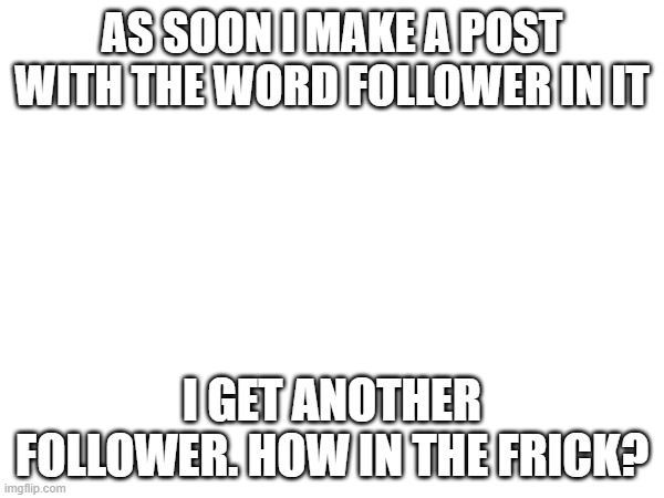 AS SOON I MAKE A POST WITH THE WORD FOLLOWER IN IT; I GET ANOTHER FOLLOWER. HOW IN THE FRICK? | made w/ Imgflip meme maker