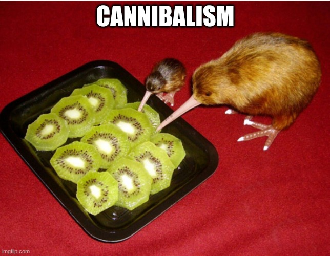 Kiwi Cannibalism | CANNIBALISM | image tagged in kiwi cannibalism | made w/ Imgflip meme maker