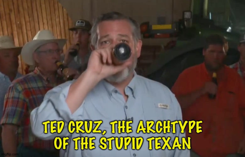 There are smart Texans, and then there are Ted Cruz Texans. | TED CRUZ, THE ARCHTYPE OF THE STUPID TEXAN | image tagged in ted cruz | made w/ Imgflip meme maker