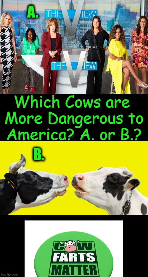 Question of the Day . . . | A. Which Cows are 
More Dangerous to

America? A. or B.? B. | image tagged in politics,the view,triggered feminist,cows,which one,political humor | made w/ Imgflip meme maker