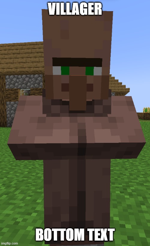 villager | VILLAGER; BOTTOM TEXT | image tagged in villager | made w/ Imgflip meme maker